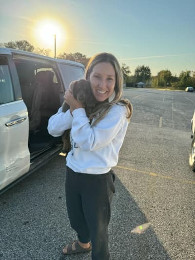 Teddy, a Dachshund, Mini puppy from Pawrade