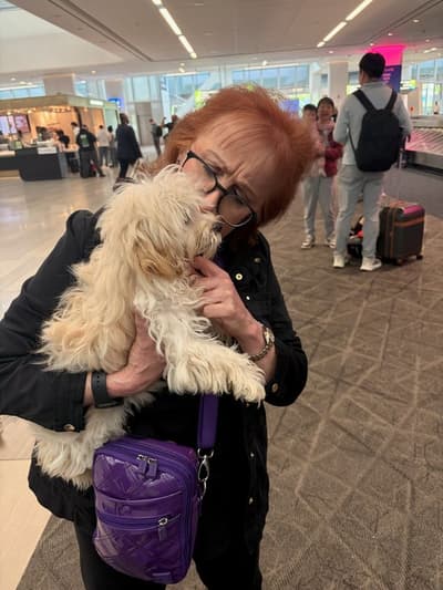 Foster, a Malti Poo - Maltipoo puppy from Pawrade