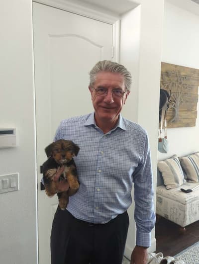 Gus, a Yorkshire Terrier - Yorkie puppy from Pawrade
