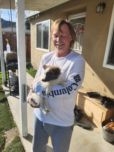 Beau, a Pomeranian puppy from Pawrade