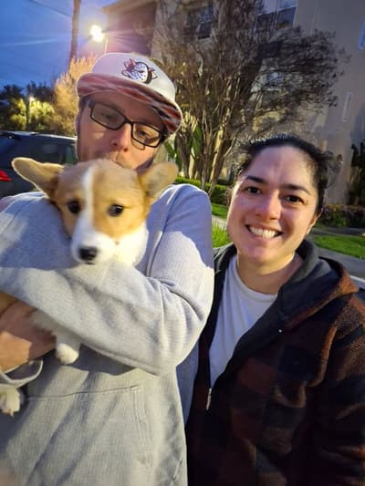 Lucy, a Corgi, Pembroke Welsh puppy from Pawrade