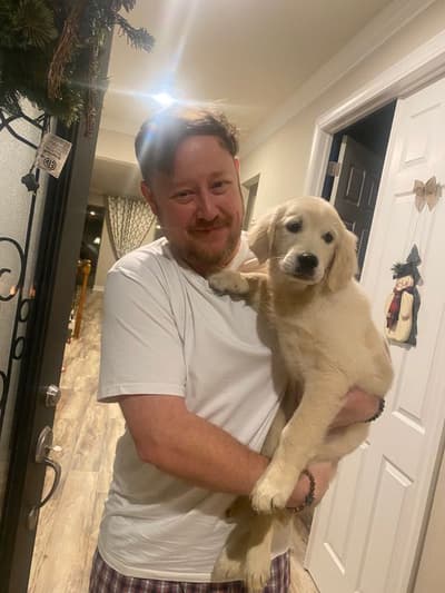 Rae, a English Golden Retriever puppy from Pawrade