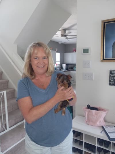 Milo, a Yorkshire Terrier - Yorkie puppy from Pawrade