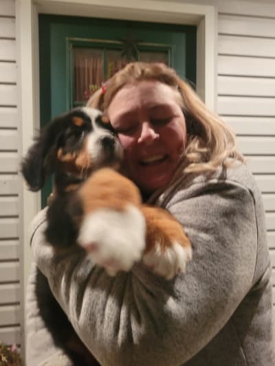 Braxton, a Bernese Mountain Dog puppy from Pawrade