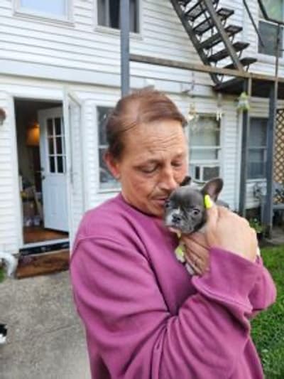 Faith, a French Bulldog puppy from Pawrade