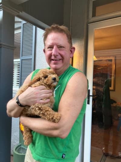 Pascal, a Goldendoodle, Mini puppy from Pawrade