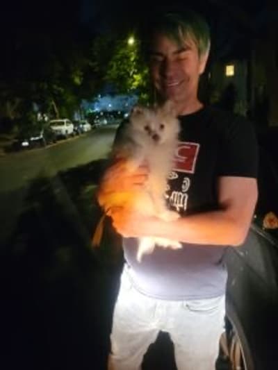 Victor, a Pomeranian puppy from Pawrade