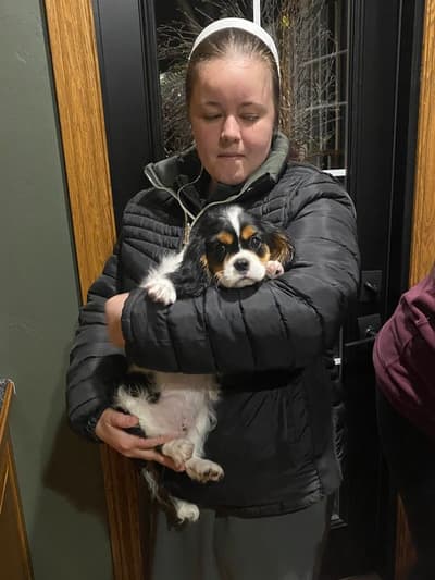 Chester, a Cavalier King Charles Spaniel puppy from Pawrade