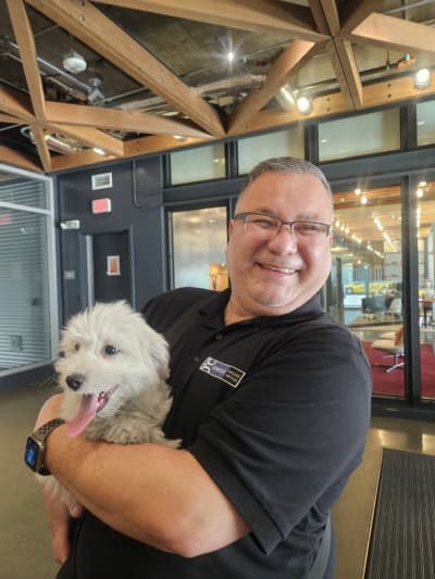 Kennedy, a Coton De Tulear puppy from Pawrade