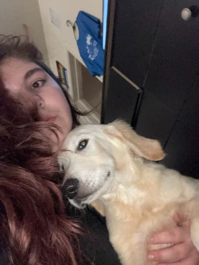 Buck, a Golden Retriever puppy from Pawrade