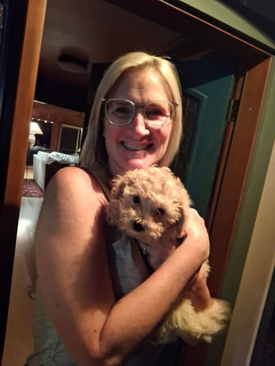 Klein, a Malti Poo - Maltipoo puppy from Pawrade