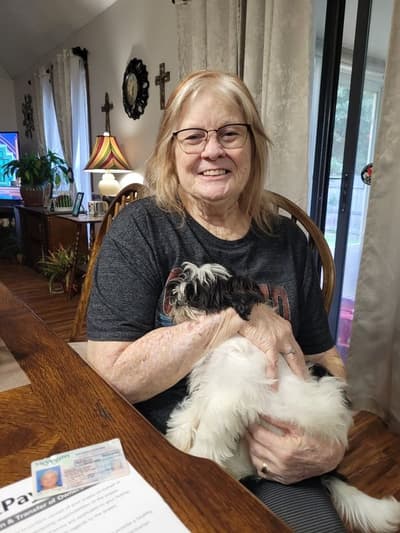 Sierra, a Shih Tzu puppy from Pawrade