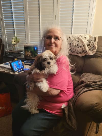 Clara, a Shih Apso puppy from Pawrade