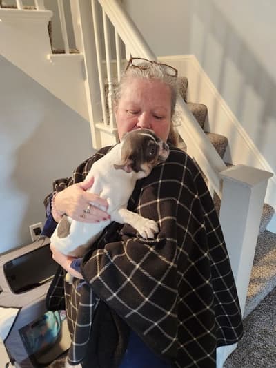 Polaris, a French Bulldog puppy from Pawrade