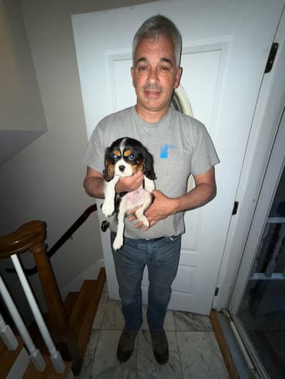 Escobar, a Cavalier King Charles Spaniel puppy from Pawrade