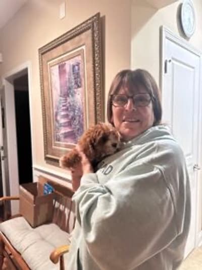 Lavender, a Cavapoo puppy from Pawrade