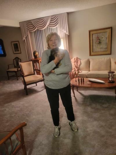 Keagan, a Morkie / Yorktese puppy from Pawrade