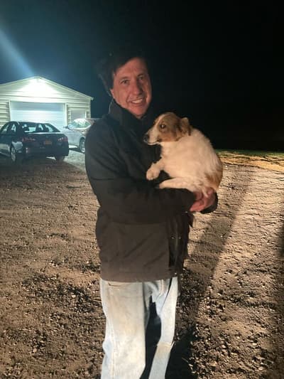 Wiley, a Shetland Sheepdog - Sheltie puppy from Pawrade