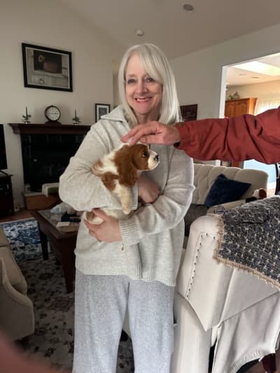 Santiago, a Cavalier King Charles Spaniel puppy from Pawrade