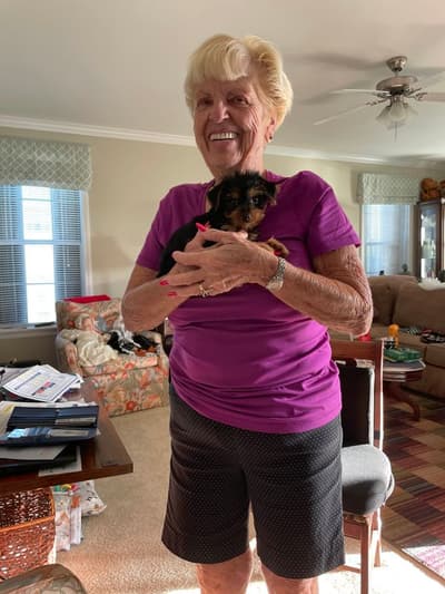 Fallon, a Yorkshire Terrier - Yorkie puppy from Pawrade
