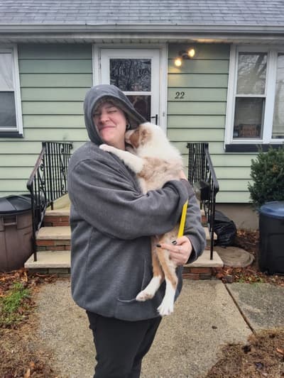 Armando, a Australian Shepherd puppy from Pawrade