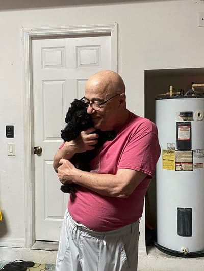 Lee, a Schnoodle puppy from Pawrade