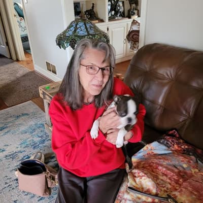 Elway, a Boston Terrier puppy from Pawrade
