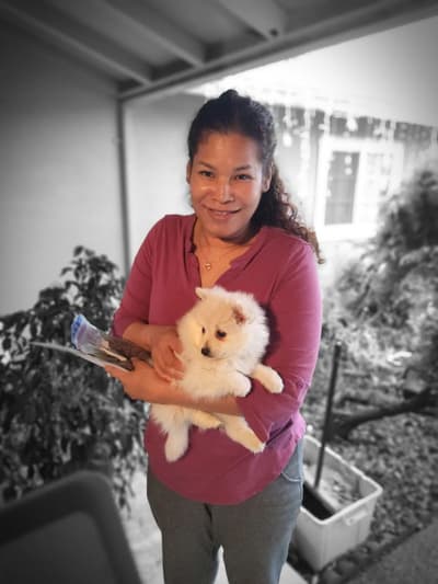 Katalina, a Pomeranian puppy from Pawrade