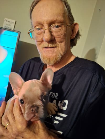 Jenny, a French Bulldog puppy from Pawrade