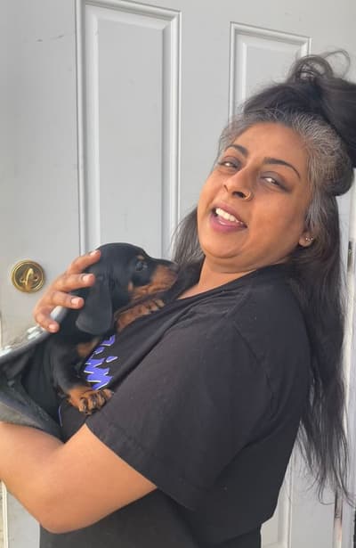 Sylvester, a Dachshund, Mini puppy from Pawrade