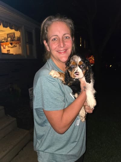Patches, a Cocker Spaniel puppy from Pawrade