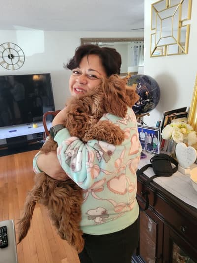 Ralphie, a Cavapoo puppy from Pawrade