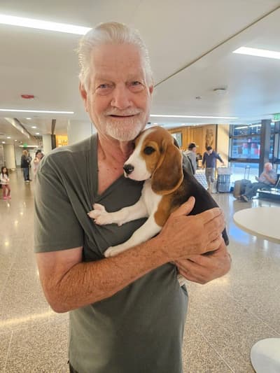 Arkin, a Beagle puppy from Pawrade