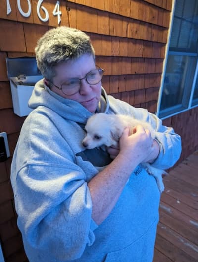 Tika, a Chihuahua puppy from Pawrade