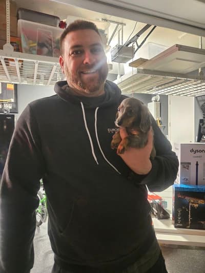 Blue Bell, a Dachshund, Mini puppy from Pawrade