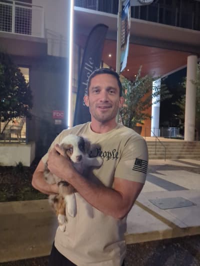 Darius, a Aussiedoodle puppy from Pawrade