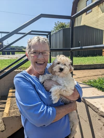Cassandra, a Cockapoo puppy from Pawrade