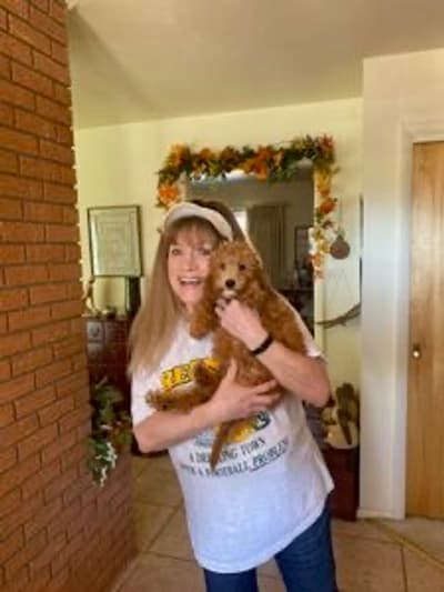 Millie, a Goldendoodle, Mini puppy from Pawrade