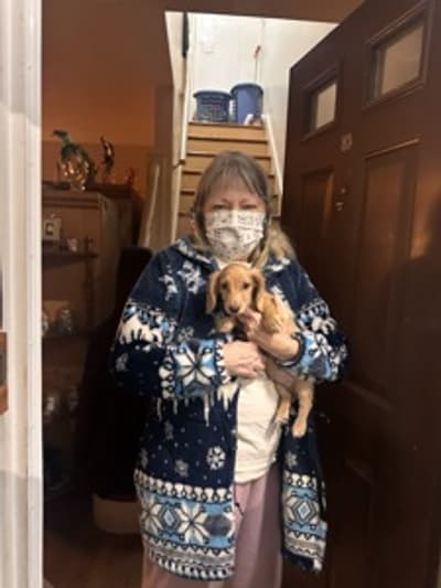 Van Gogh, a Dachshund, Mini puppy from Pawrade