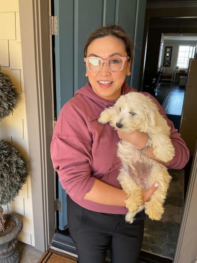 Skipper, a Coton De Tulear puppy from Pawrade