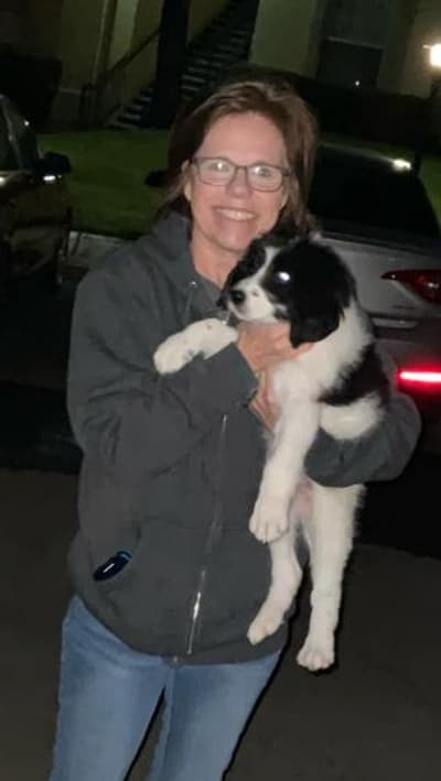 Chay, a Newfypoo puppy from Pawrade