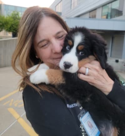 Karin, a Bernese Mountain Dog puppy from Pawrade
