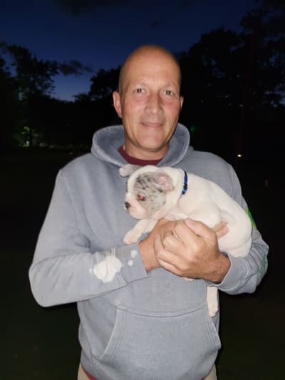 Mitch, a French Bulldog puppy from Pawrade