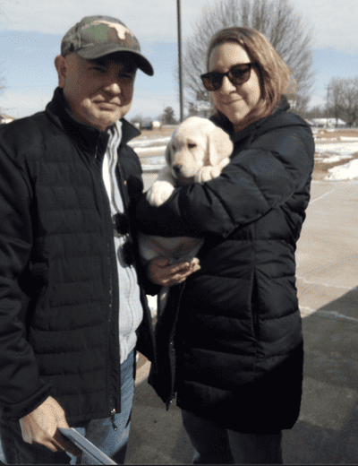Freya, a Labrador Retriever puppy from Pawrade