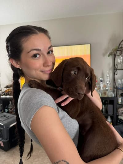 Ripley, a Labrador Retriever puppy from Pawrade