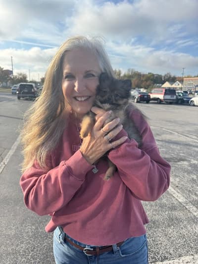Glinda, a Pomeranian puppy from Pawrade