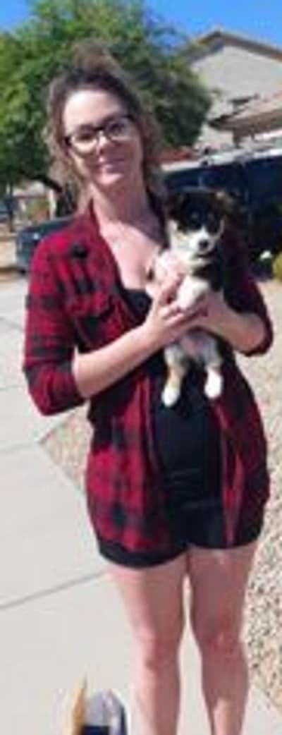 Brecca, a Corgi, American puppy from Pawrade