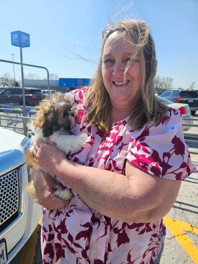 Ethan, a Shih Tzu puppy from Pawrade