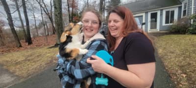 Melina, a Corgi, American puppy from Pawrade