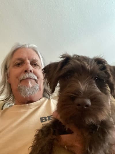 Miguel, a Schnauzer, Miniature puppy from Pawrade